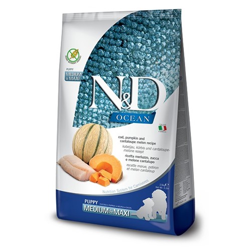 N&D dog OCEAN PUMPKIN GF puppy medium & maxi, cod & cantaloupe melon 2,5 kg